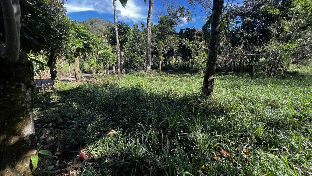 Land for Sale in San Francisco de Rivas: Build-Ready Lot with Water and Power Available — Photo 5