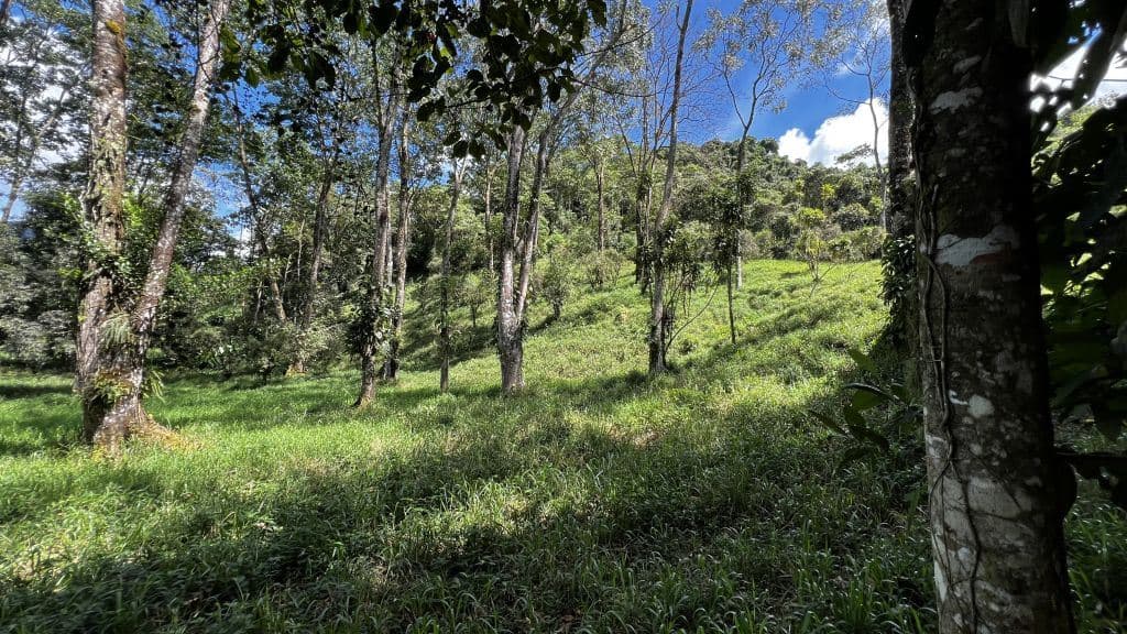 Land for Sale in San Francisco de Rivas: Build-Ready Lot with Water and Power Available — Photo 4