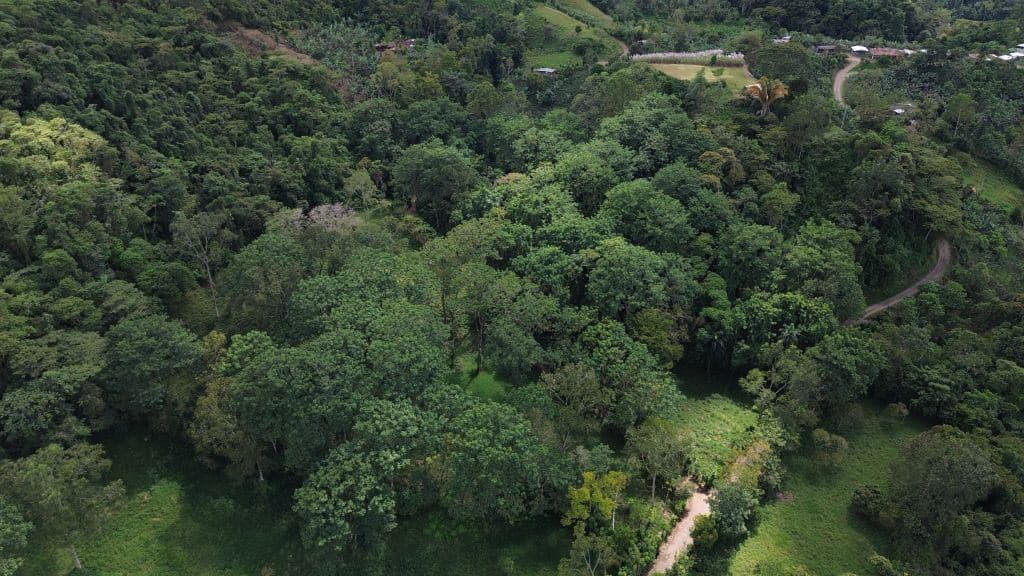 Land for Sale in San Francisco de Rivas: Build-Ready Lot with Water and Power Available — Photo 3