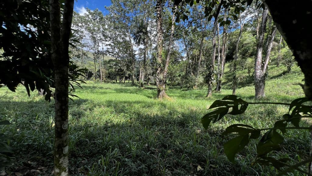 Land for Sale in San Francisco de Rivas: Build-Ready Lot with Water and Power Available — Photo 2
