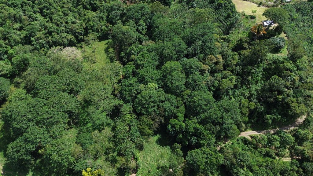 Land for Sale in San Francisco de Rivas: Build-Ready Lot with Water and Power Available — Photo 1
