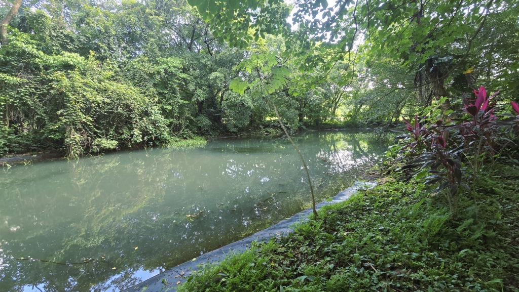 20250705_092611 - RE/MAX Altitud