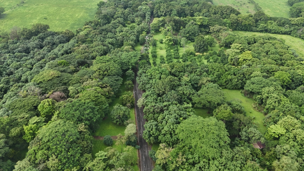 default - RE/MAX Altitud