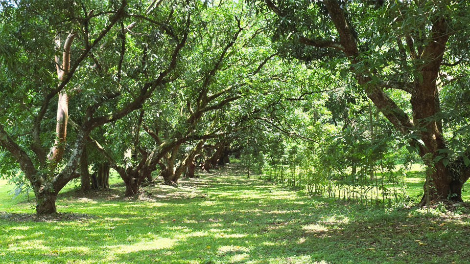 Lot 5 3 - RE/MAX Altitud