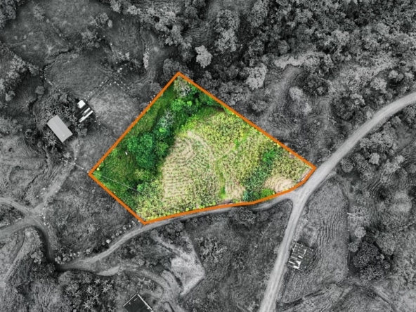 Aerial view of a land parcel outlined in orange within a grayscale hillside, showing green vegetation inside.