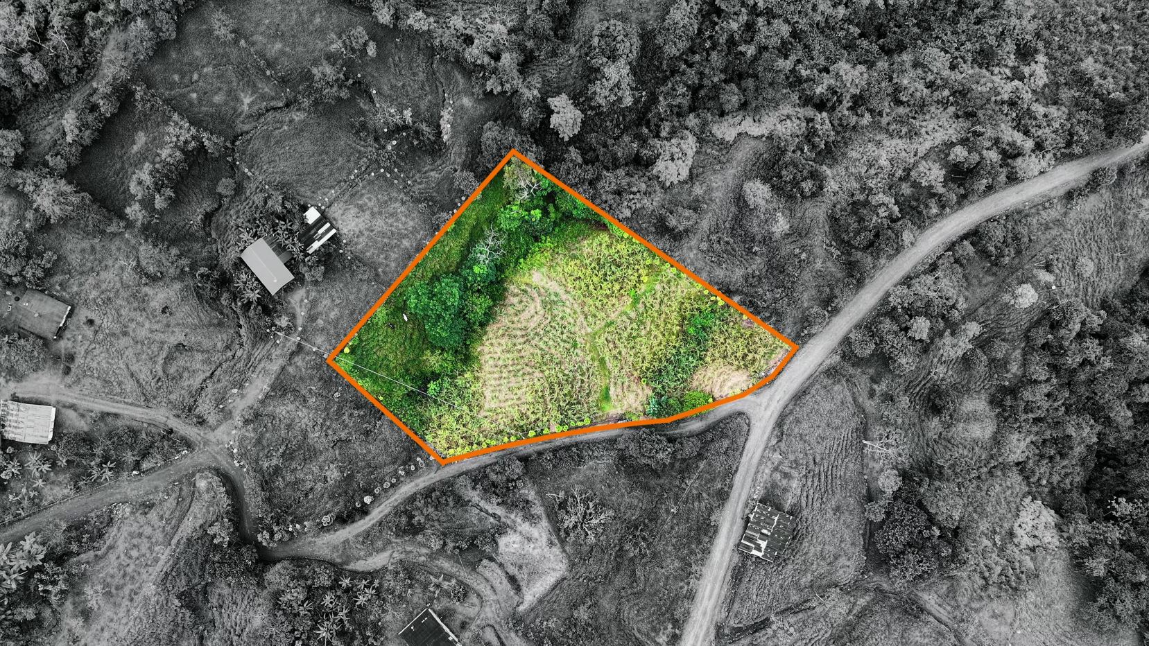 Aerial view of a land parcel outlined in orange within a grayscale hillside, showing green vegetation inside.