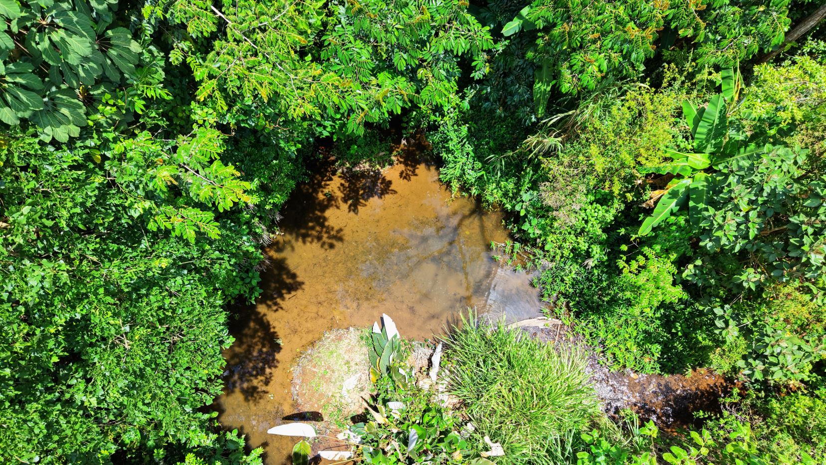 Aerial view of a muddy brown stream winding through dense tropical jungle with bright green foliage surrounding the water surface.