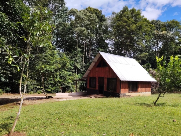 Small wooden cabin with a slanted metal roof in a grassy yard, surrounded by trees.