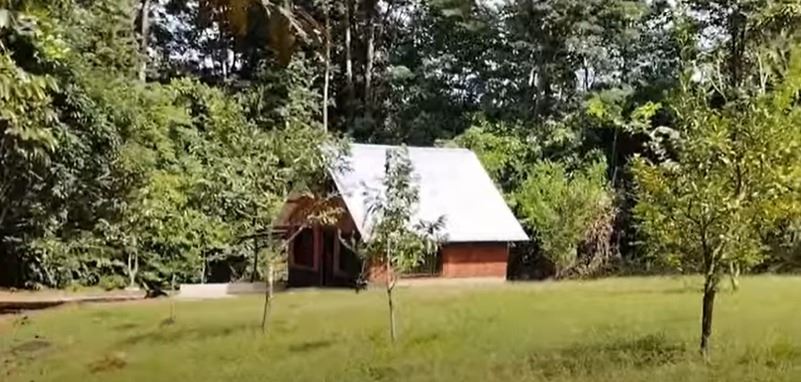Small wooden cabin with a metal roof in a grassy clearing surrounded by trees.