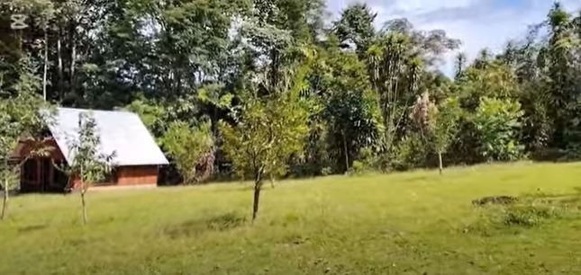 A small wooden cabin with a metal roof sits on a grassy clearing, surrounded by trees on a sunny day