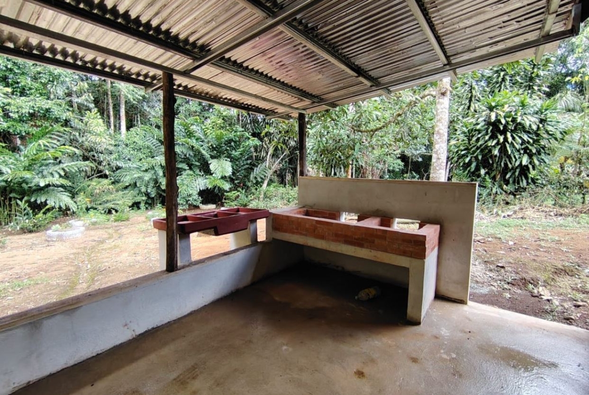 Outdoor covered washing area with brick sinks under a metal roof, set in a lush tropical garden