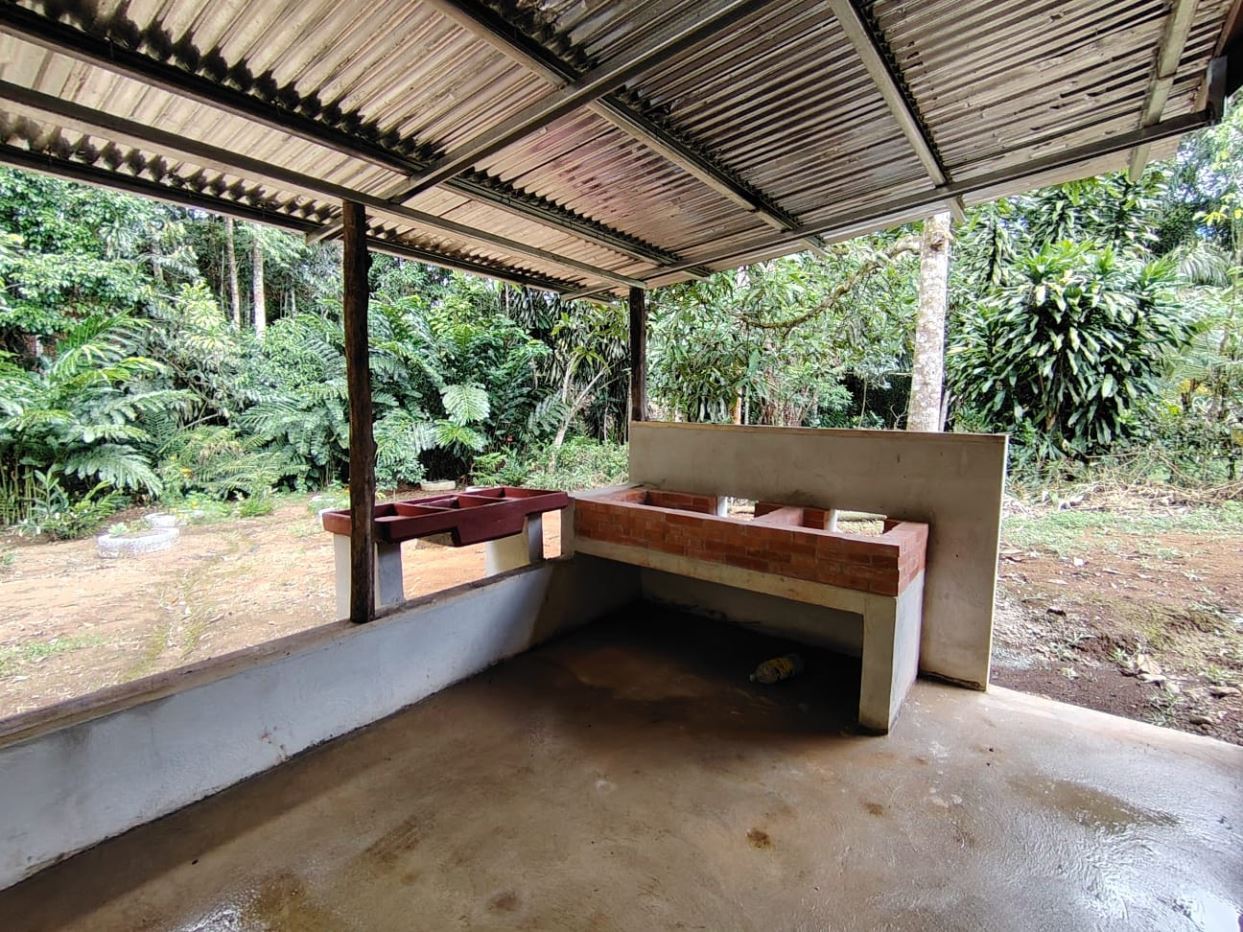 Outdoor covered washing area with brick sinks under a metal roof, set in a lush tropical garden