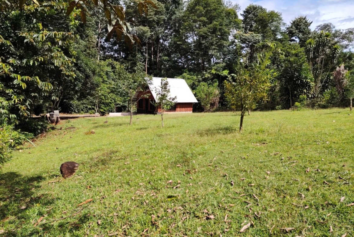 Small wooden cabin with a white roof in a grassy clearing surrounded by trees on a sunny day.