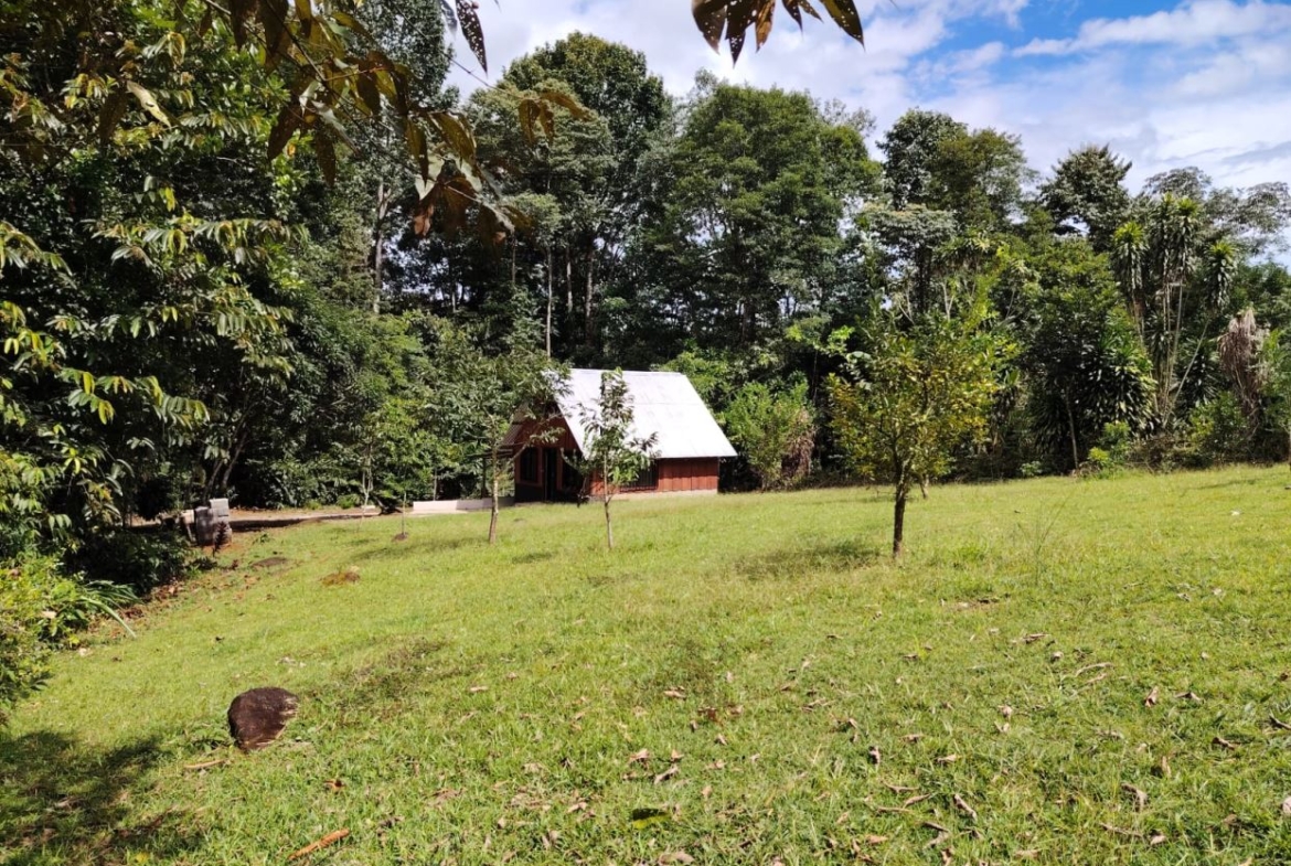 Small wooden cabin with a silver metal roof in a sunny grassy clearing surrounded by trees.