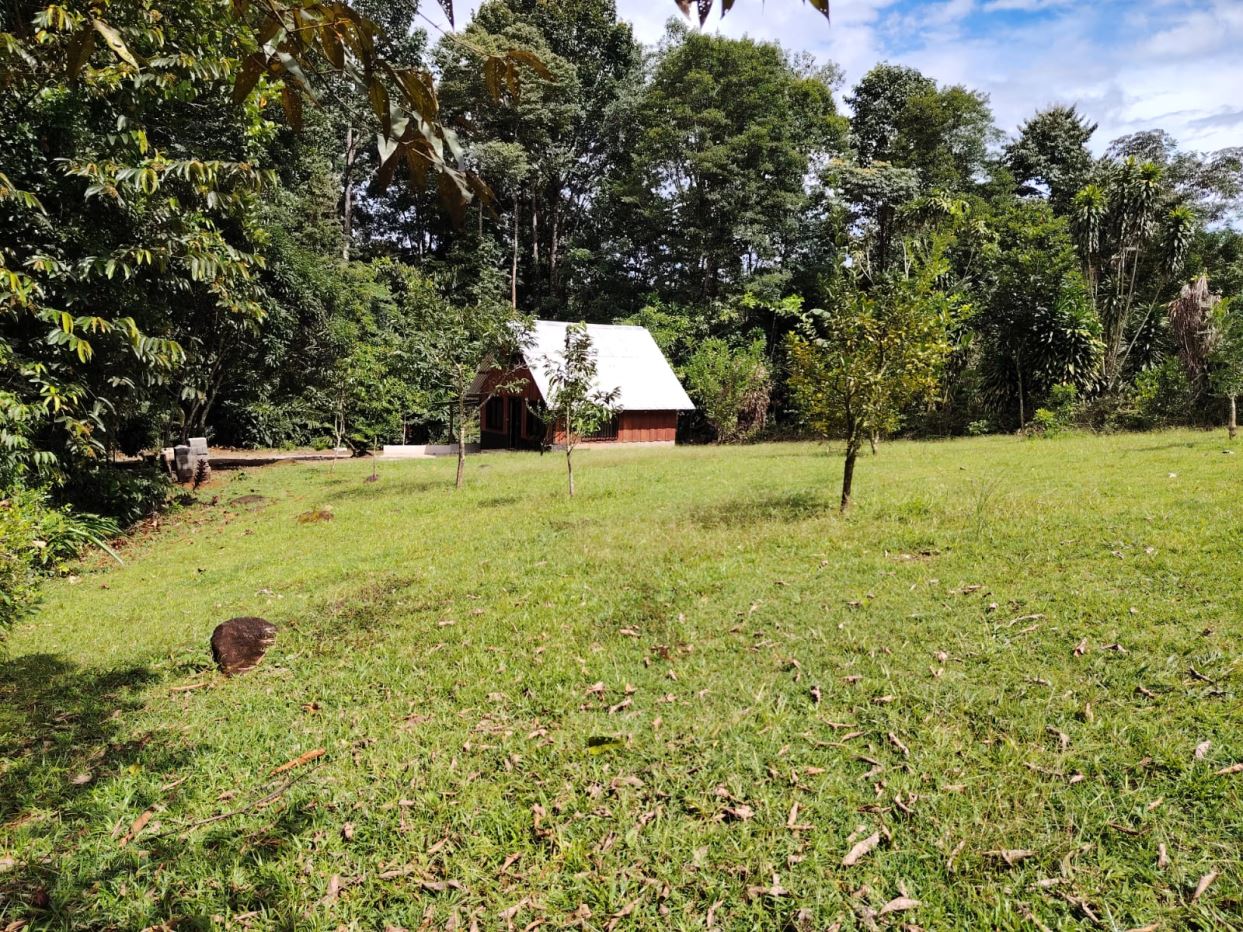 Small wooden cabin with a white roof in a grassy clearing surrounded by trees on a sunny day.