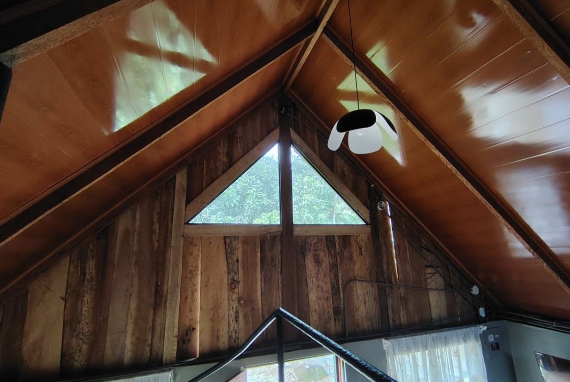 A rustic attic interior with dark wood walls, exposed beams, and a triangular window at the peak letting in greenery. A modern white-and-black pendant light hangs from the sloped ceiling above a railing.