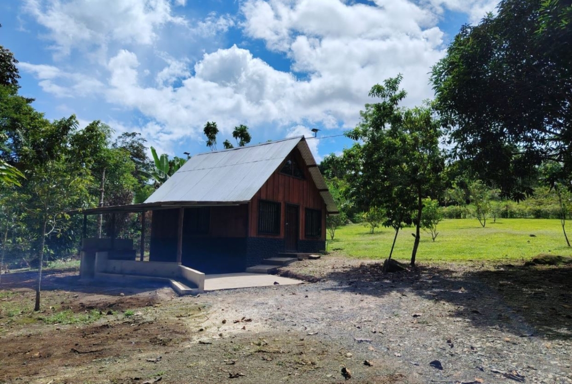 Small rustic cabin with a metal gabled roof, wooden siding, and a covered porch set in a grassy, tree-filled yard under a blue sky with clouds.