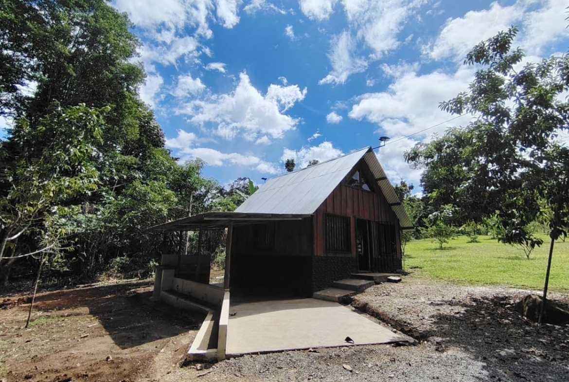 Small wooden cabin with a steep metal roof and open-sided porch in a grassy yard, surrounded by trees under a bright blue sky with scattered clouds.