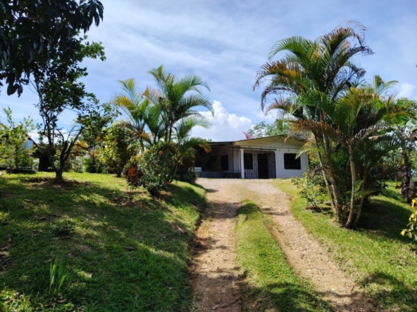 Dirt driveway winding toward a single-story white house, flanked by palm trees and a green lawn on a sunny day.