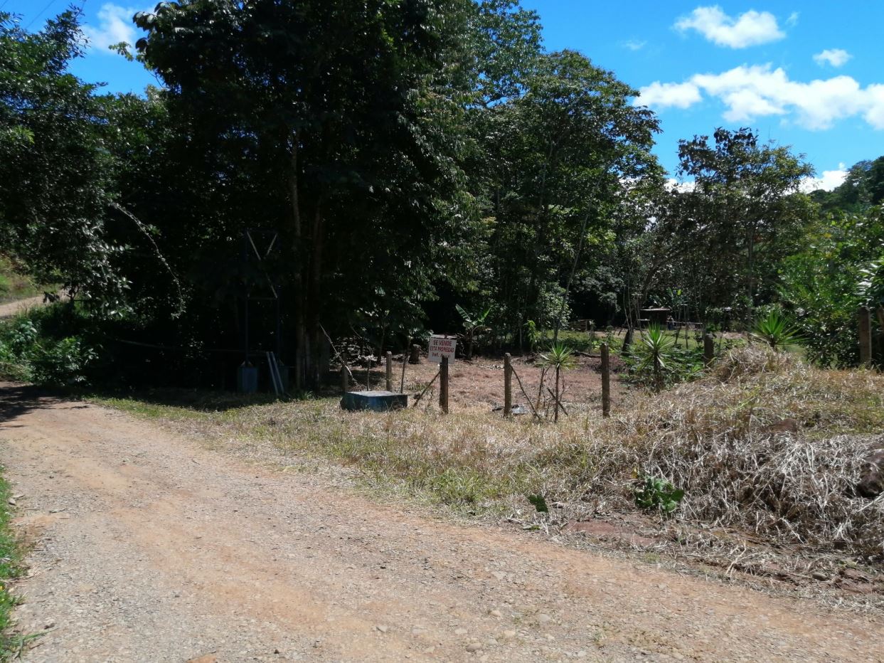 Dirt road curves through a rural yard with a small wooden fence, trees, and a sign near the greenery under a blue sky.