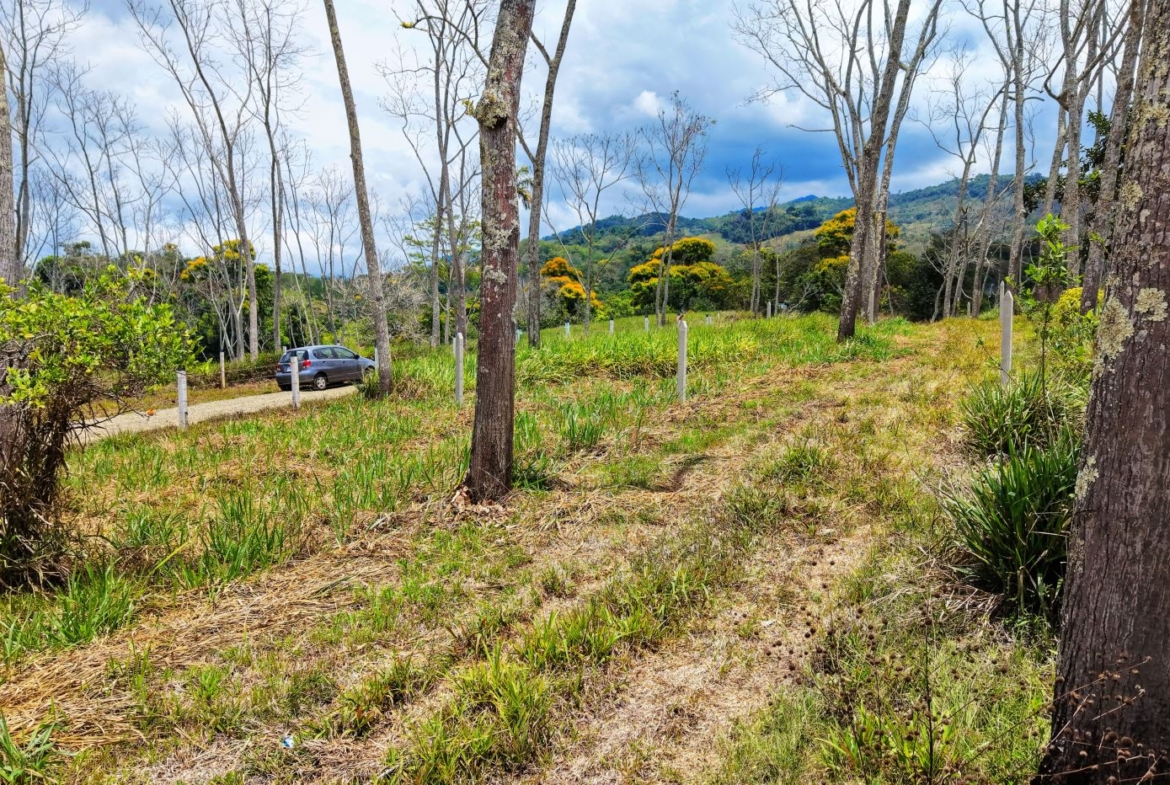 Car parked along a dirt road through a grassy, lightly wooded area with bare trees and rolling hills in the distance under a cloudy sky.