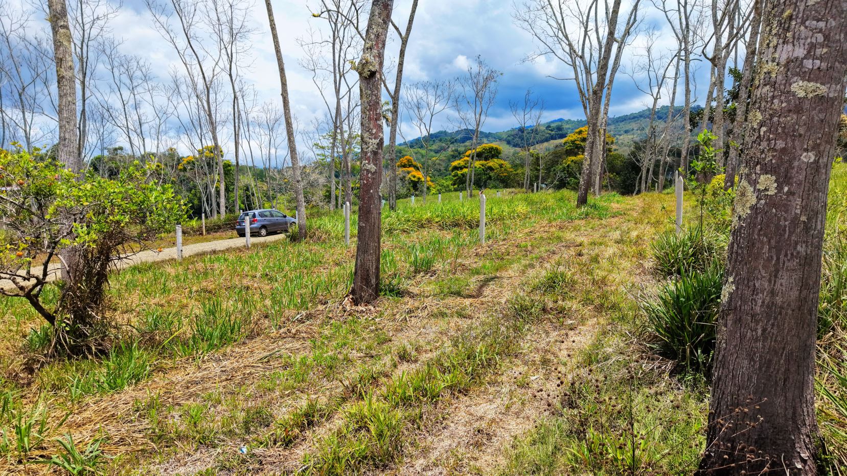 Car parked along a dirt road through a grassy, lightly wooded area with bare trees and rolling hills in the distance under a cloudy sky.