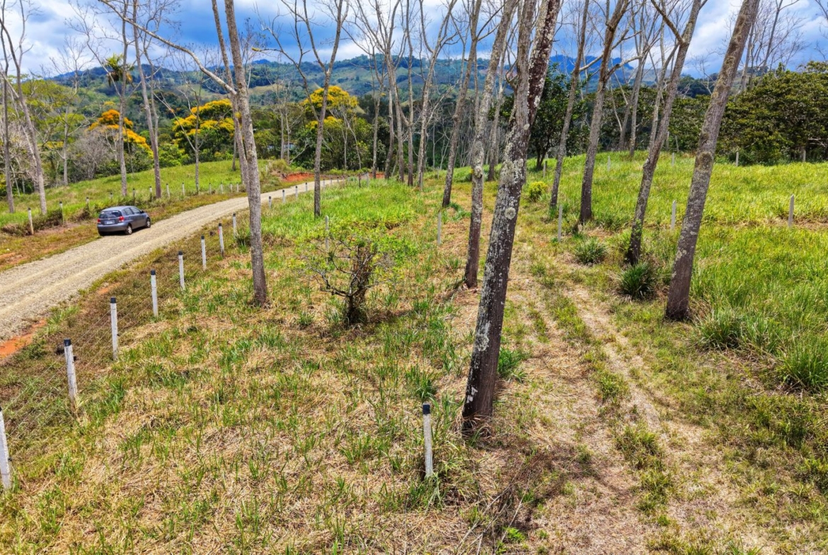 Gravel rural road with a gray car, white fence posts, and leafless trees, grassy fields and distant hills under a cloudy blue sky
