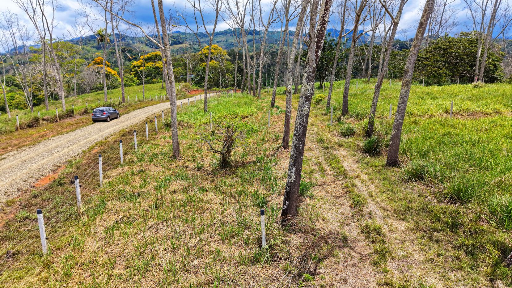 Gravel rural road with a gray car, white fence posts, and leafless trees, grassy fields and distant hills under a cloudy blue sky