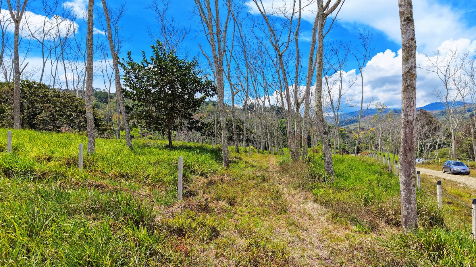 Open countryside with leafless trees, grassy field, dirt path, fence posts, and distant hills under a blue sky; a car on the right.