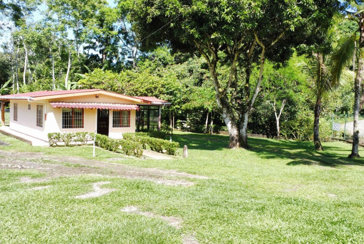 Single-story cream house with a red awning, black-framed windows, and a small hedge, set in a sunny green yard with trees nearby