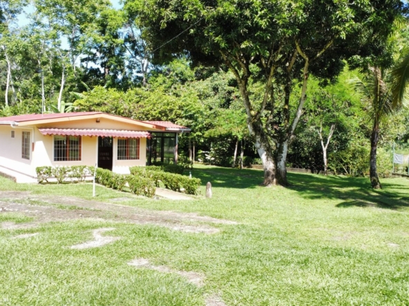 Single-story cream house with a red awning, black-framed windows, and a small hedge, set in a sunny green yard with trees nearby