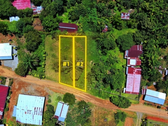 Aerial view of a pink house with a bright red roof surrounded by green trees and a well-kept garden, with a fence and neighboring buildings in the background.