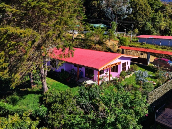 Aerial view of a pink house with a bright red roof surrounded by green trees and a well-kept garden, with a fence and neighboring buildings in the background.