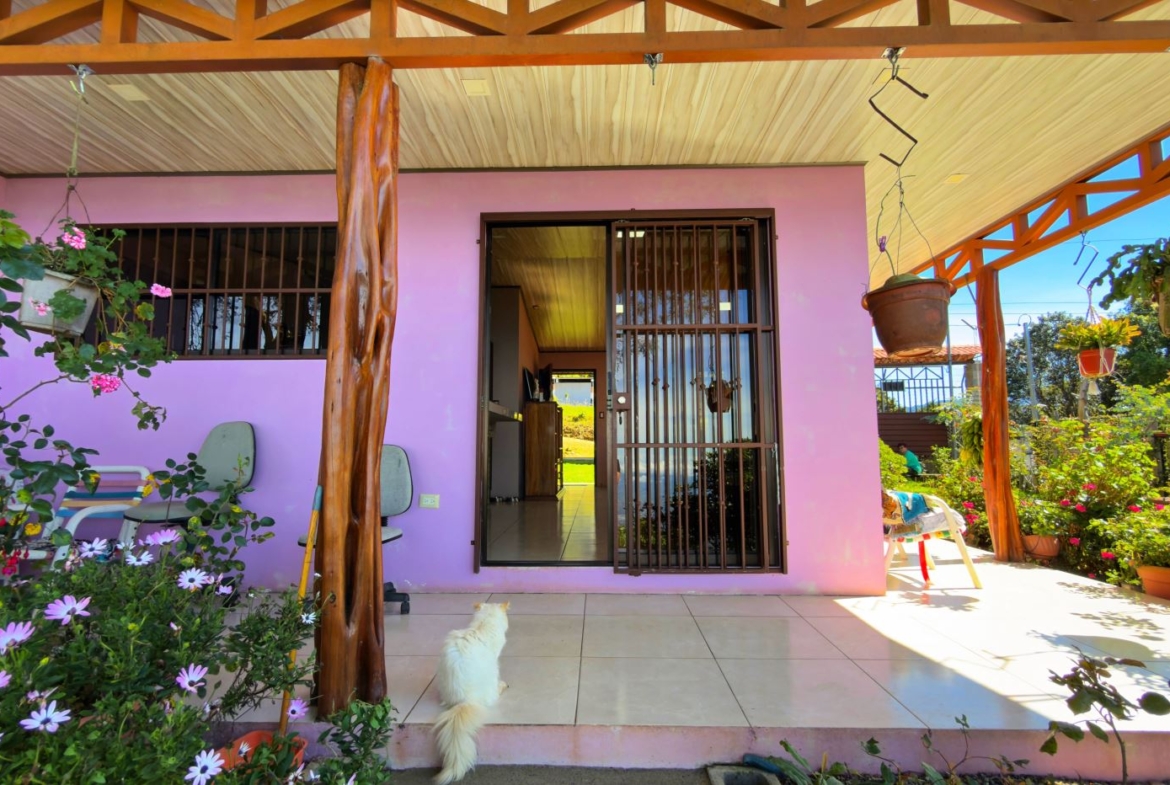 Porch of a pink house with wooden posts, hanging planters, and a small white dog on the tiled floor