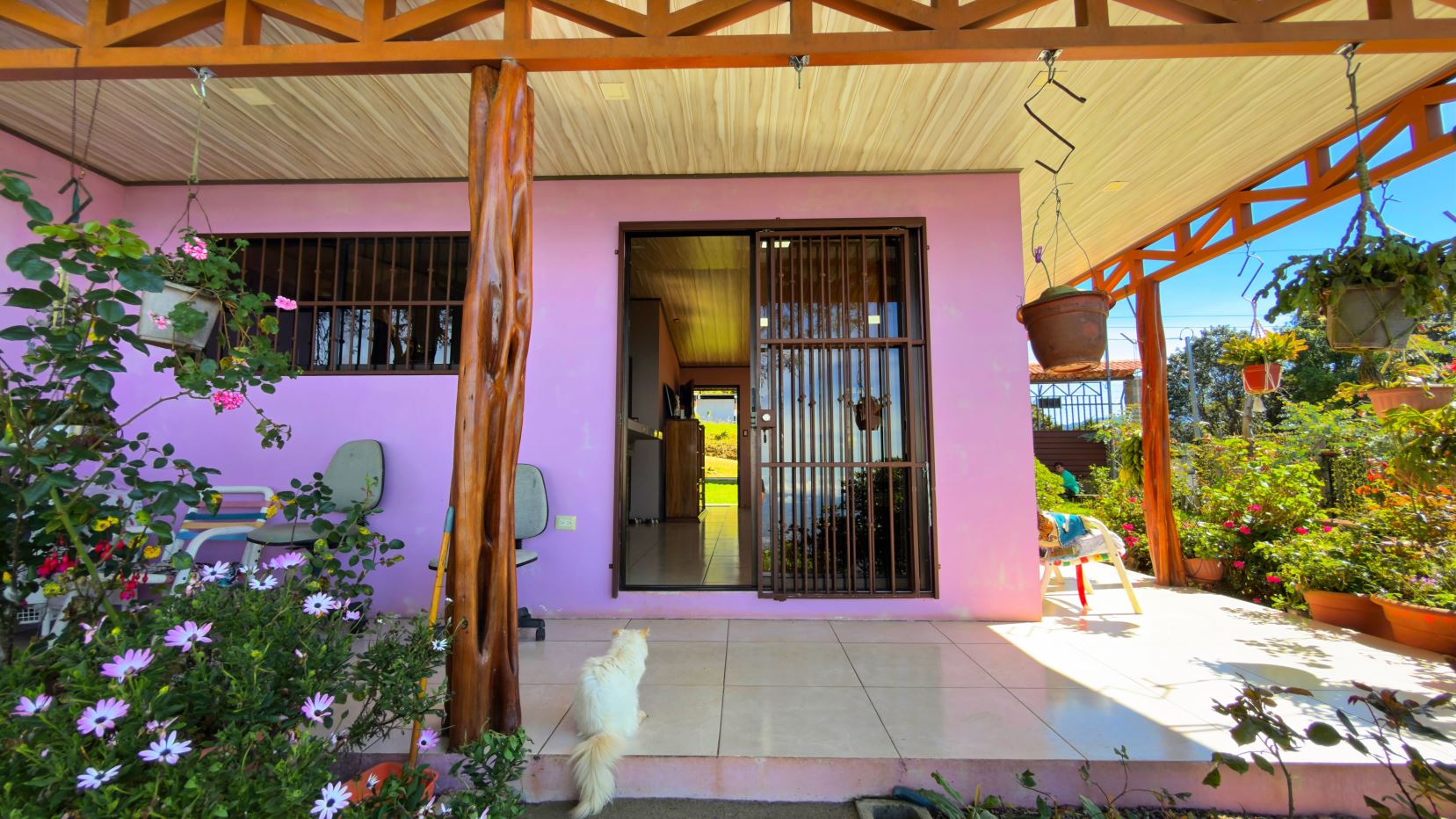Porch of a pink house with wooden posts, hanging planters, and a small white dog on the tiled floor