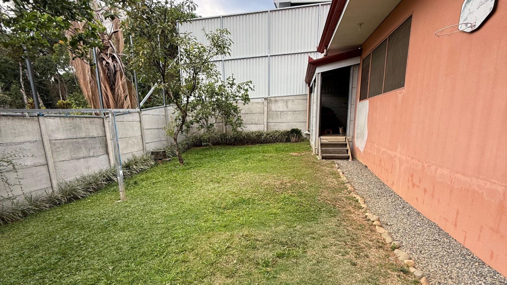 Backyard with green lawn, concrete block fence, and an orange house; a cat sits on the steps inside an open doorway.
