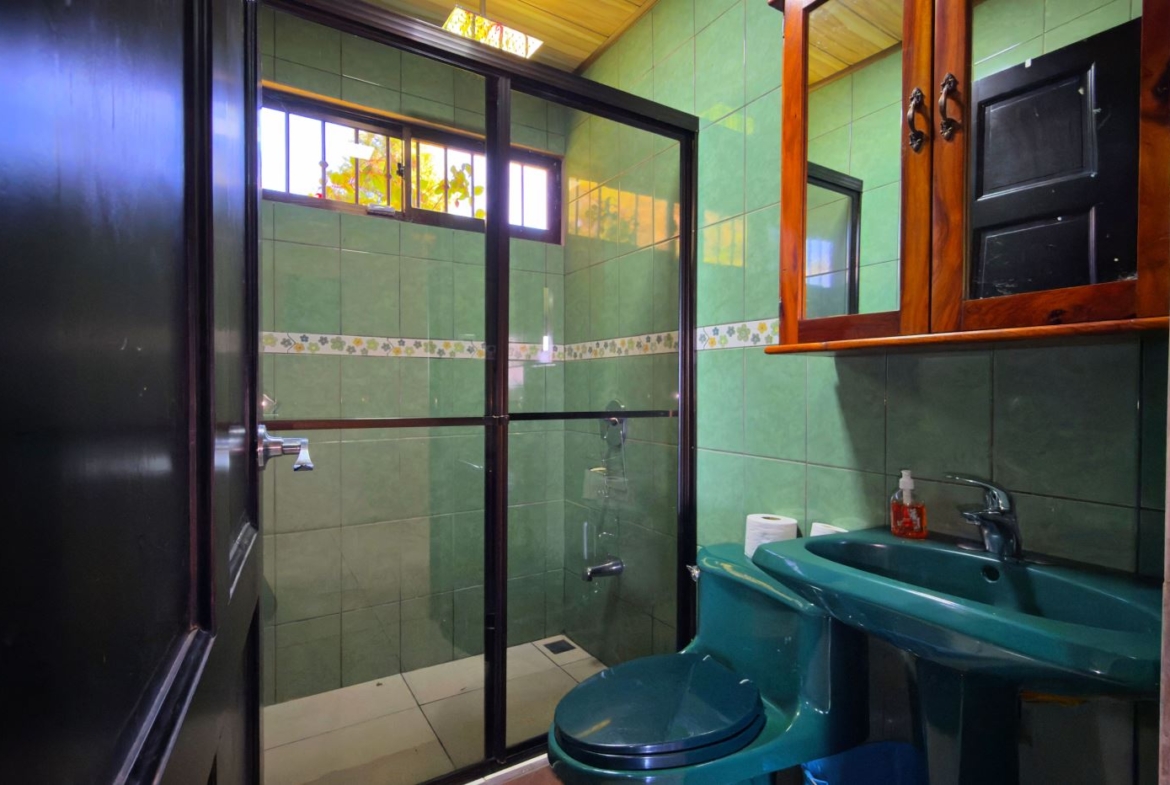 Green tiled bathroom with a glass-walled shower, and a matching green toilet and sink; wooden cabinet above the sink.