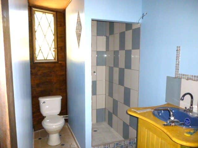 Blue-walled bathroom with a wooden door alcove housing a toilet, a tiled shower stall, and a wooden vanity with a blue sink.