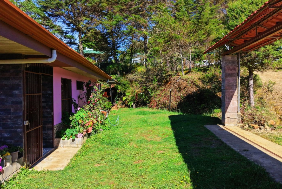 A pink house with metal security doors, potted plants along the entry, and a grassy backyard bordered by a hillside.
