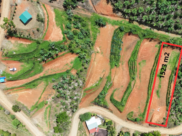 Aerial view of a rural area with a rectangular red-outlined plot labeled 1523 m2 beside dirt roads and palm trees.