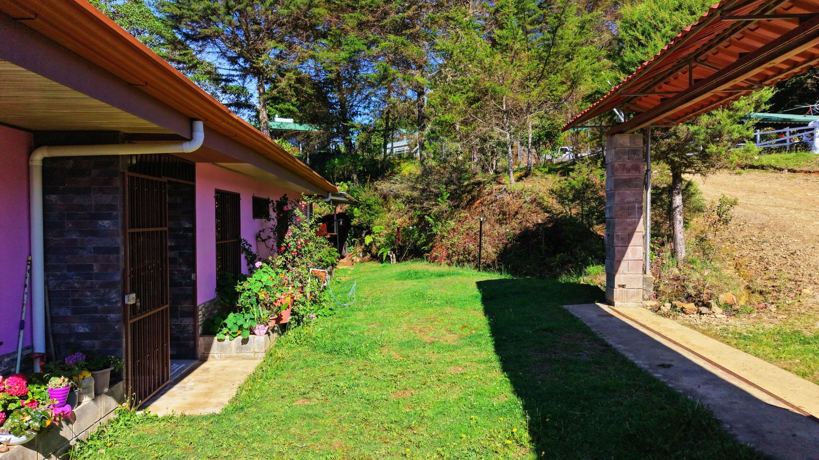A pink house with metal security doors, potted plants along the entry, and a grassy backyard bordered by a hillside.