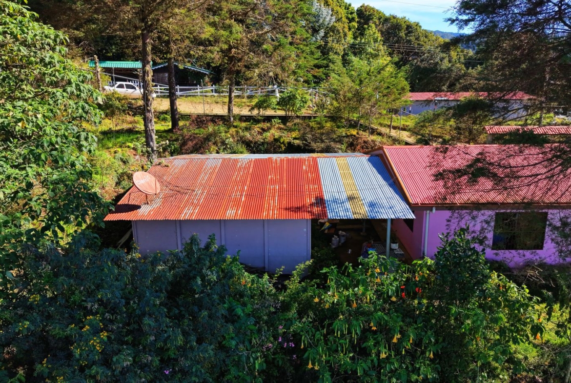 Aerial view of a small building with a multi-colored corrugated metal roof (red, blue, yellow) and a satellite dish, set among green trees.