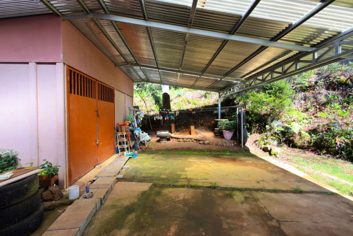 Covered outdoor workspace attached to a pink wall with orange double doors, cluttered with tools and plants under a translucent metal roof.