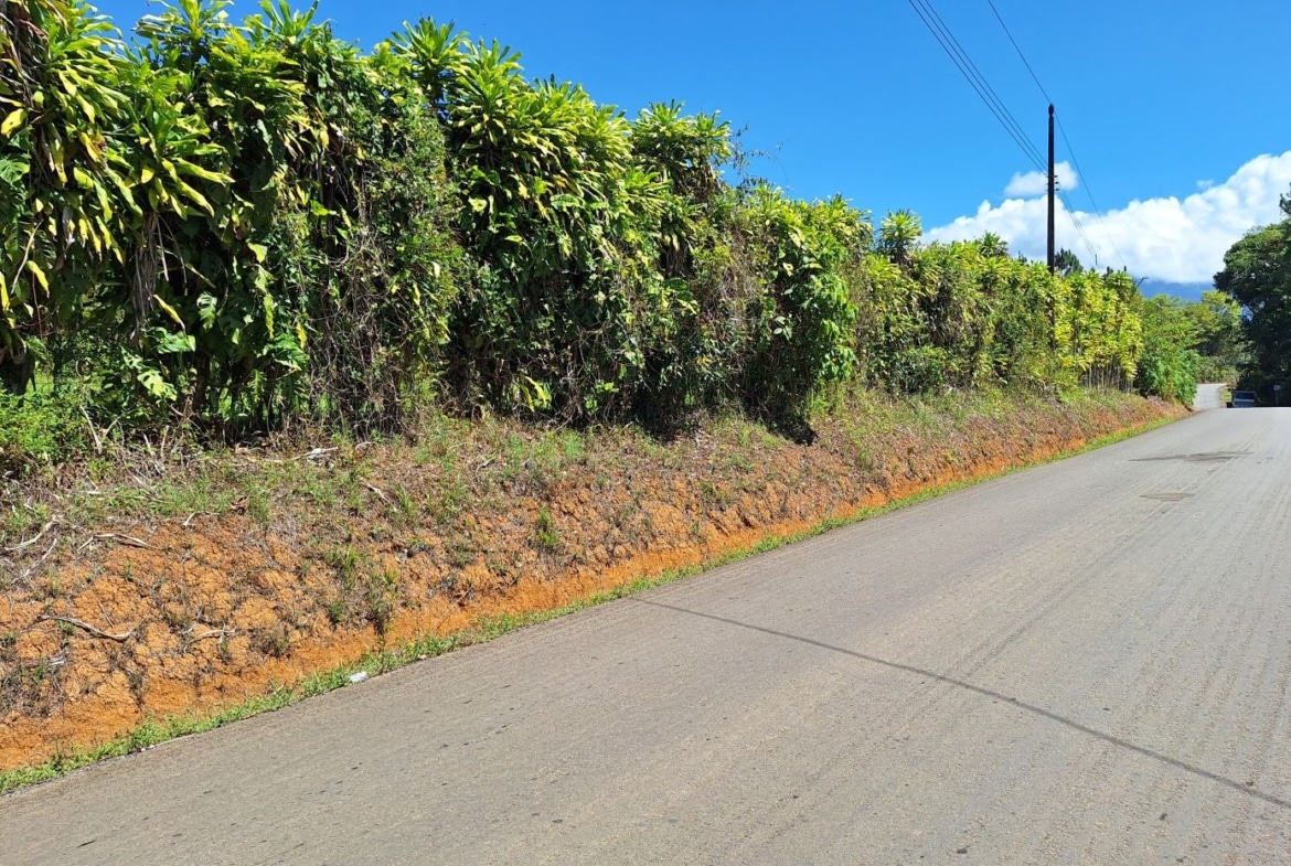 Sunny street scene with a tall green hedge along the left, orange soil bank, utility pole, and distant cars under a blue sky.