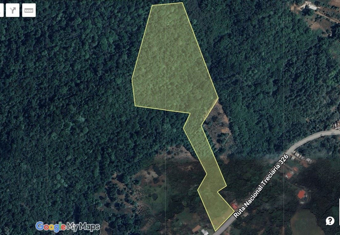 Irregular land parcel outlined in yellow on a satellite map, bordered by a forest and a road labeled Ruta Nacional Trece/26 to the east.