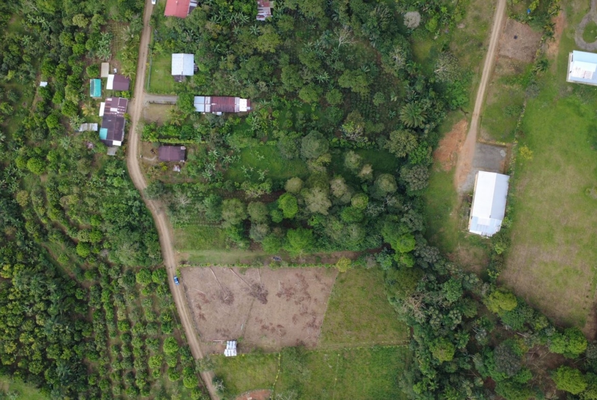 Aerial view of a rural area with a winding dirt road, scattered houses, and dense green trees surrounding open fields.