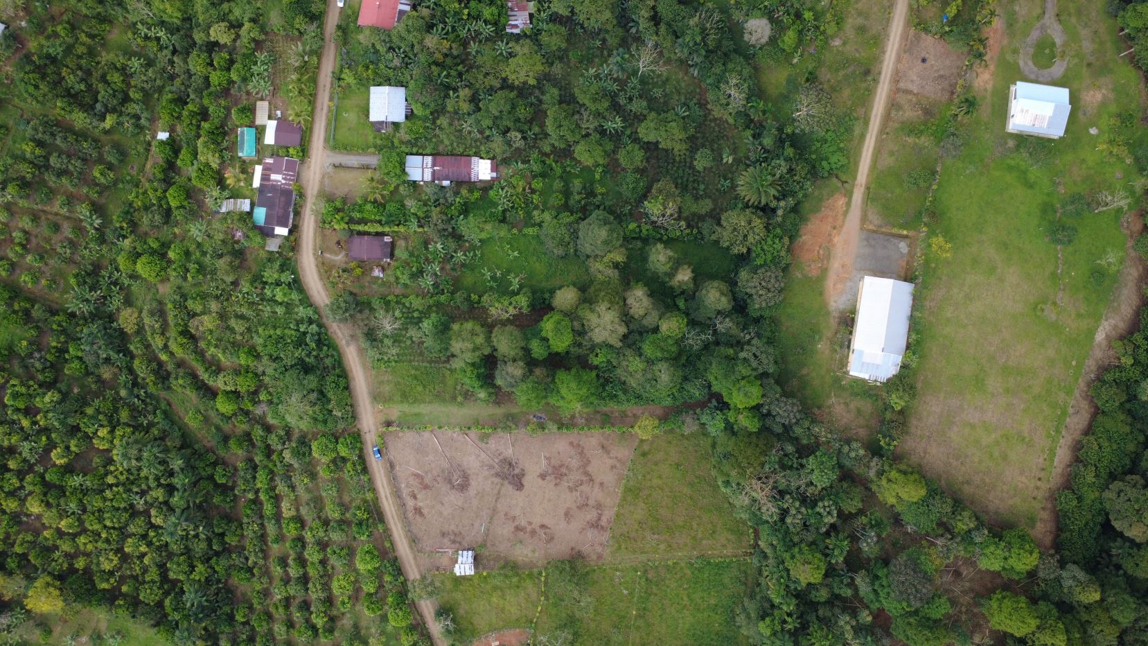 Aerial view of a rural area with a winding dirt road, scattered houses, and dense green trees surrounding open fields.