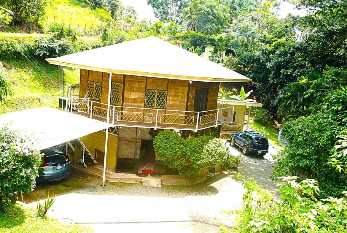 Two-story bamboo-clad house with a wraparound white railing, set on a grassy hillside with tropical trees and two parked cars nearby.