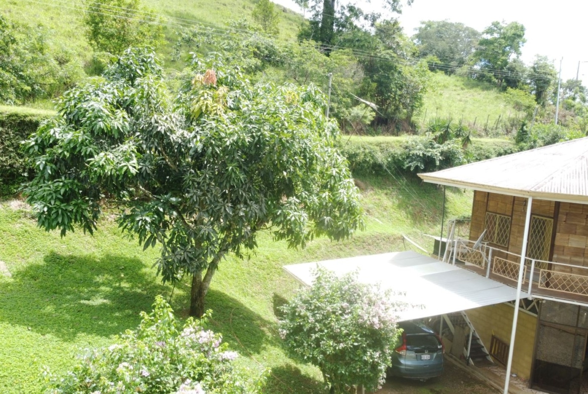 Wooden house with a light metal roof on a slope, balcony railing visible, car parked under a covered area amid green lawn and trees.