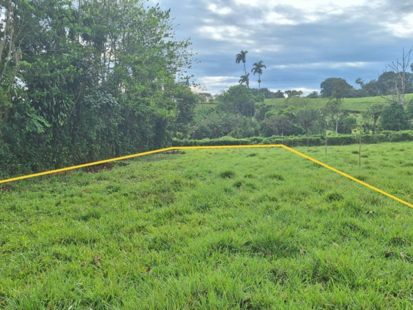 Grass field with yellow boundary lines outlining a plot of land, trees on the left and distant hills under a cloudy sky.